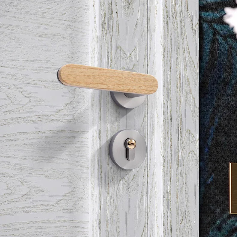 Alsova Door Lock Set