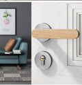 Alsova Door Lock Set