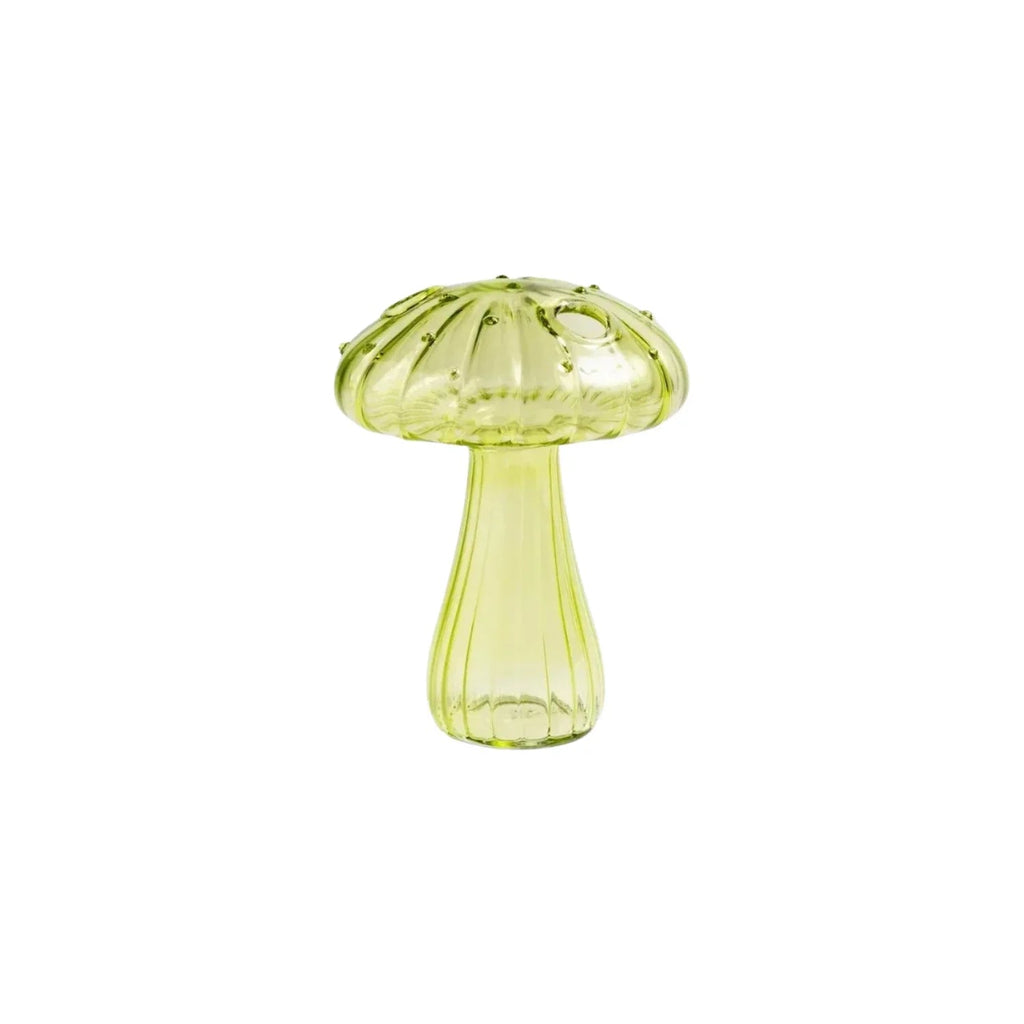 Ashbova Vase Collection - Set of 5
