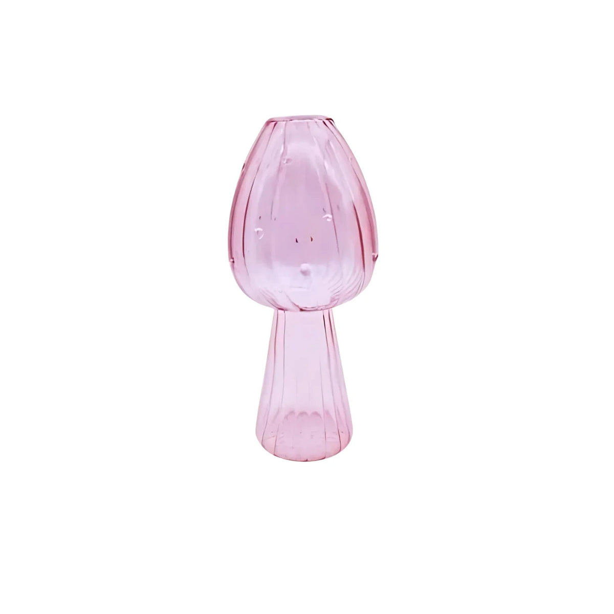 Ashbova Vase Collection - Set of 5