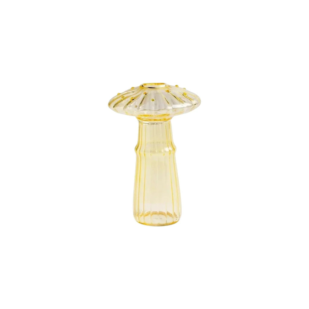 Ashbova Vase Collection - Set of 5