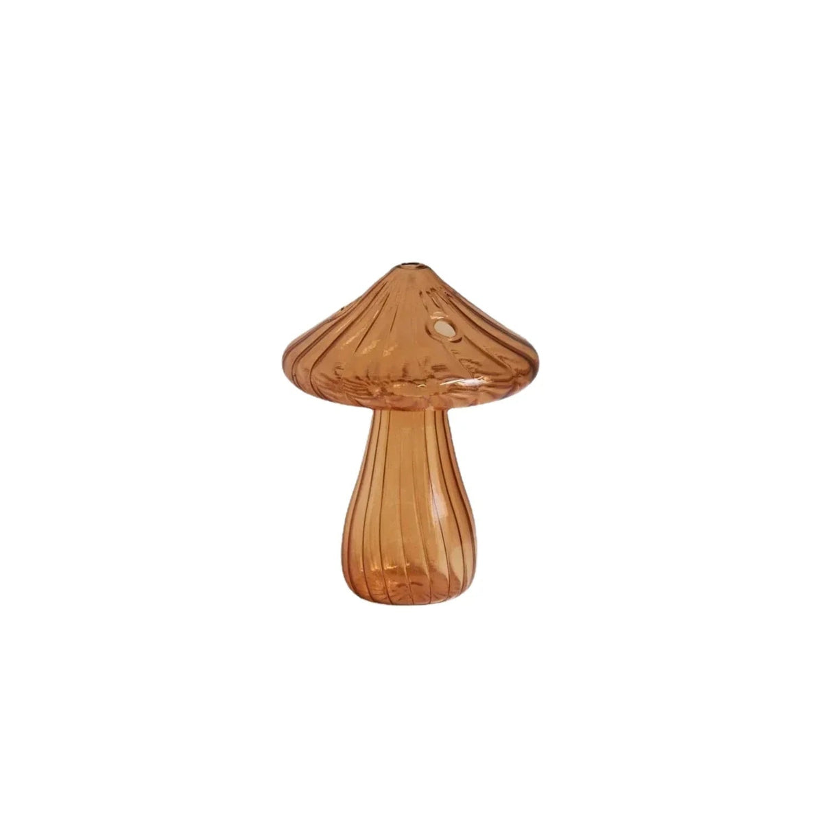 Ashbova Vase Collection - Set of 5