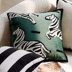 Ashfessa Cushion Cover