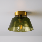 Ashmesa Ceiling Light