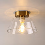 Ashmesa Ceiling Light