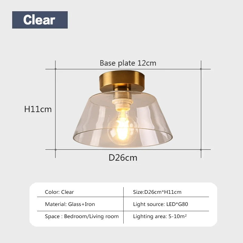 Ashmesa Ceiling Light