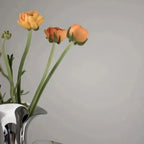Ashndirra Vase