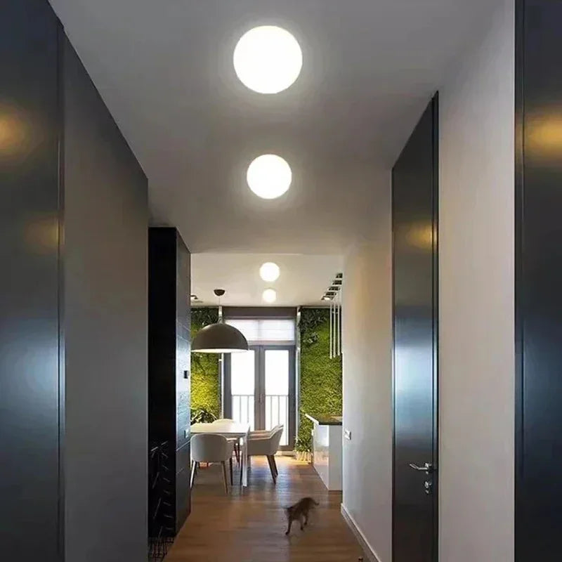 Brylisa Ceiling Lamp
