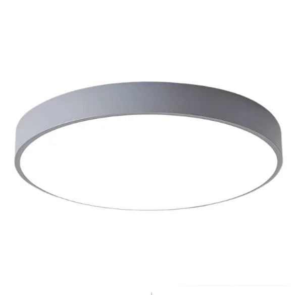 Bryoda Ceiling Lamp