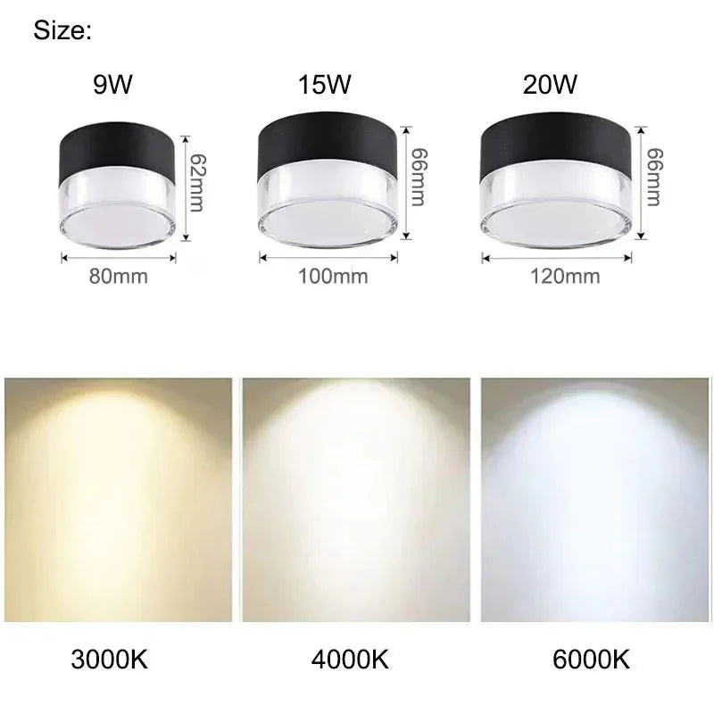 Brystynta LED Downlight