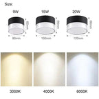 Brystynta LED Downlight