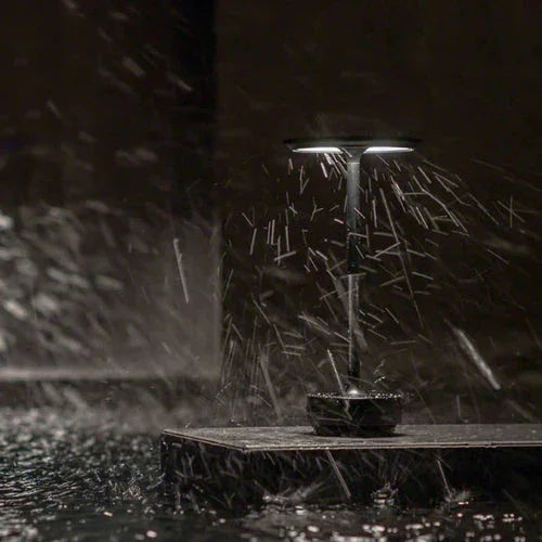 Calryra Portable Lamp