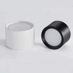 Celforra Surface Mounted Downlight
