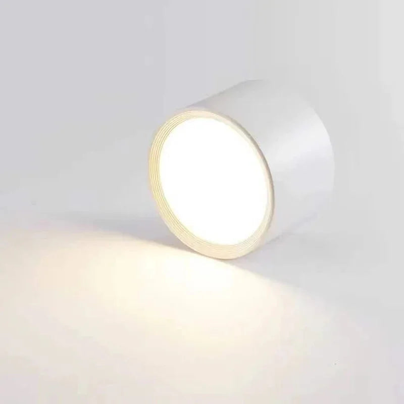 Celforra Surface Mounted Downlight