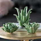 Cellira Candle Holder