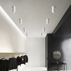 Dallendo White LED Surface Mounted Downlight