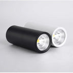 Dallendo White LED Surface Mounted Downlight