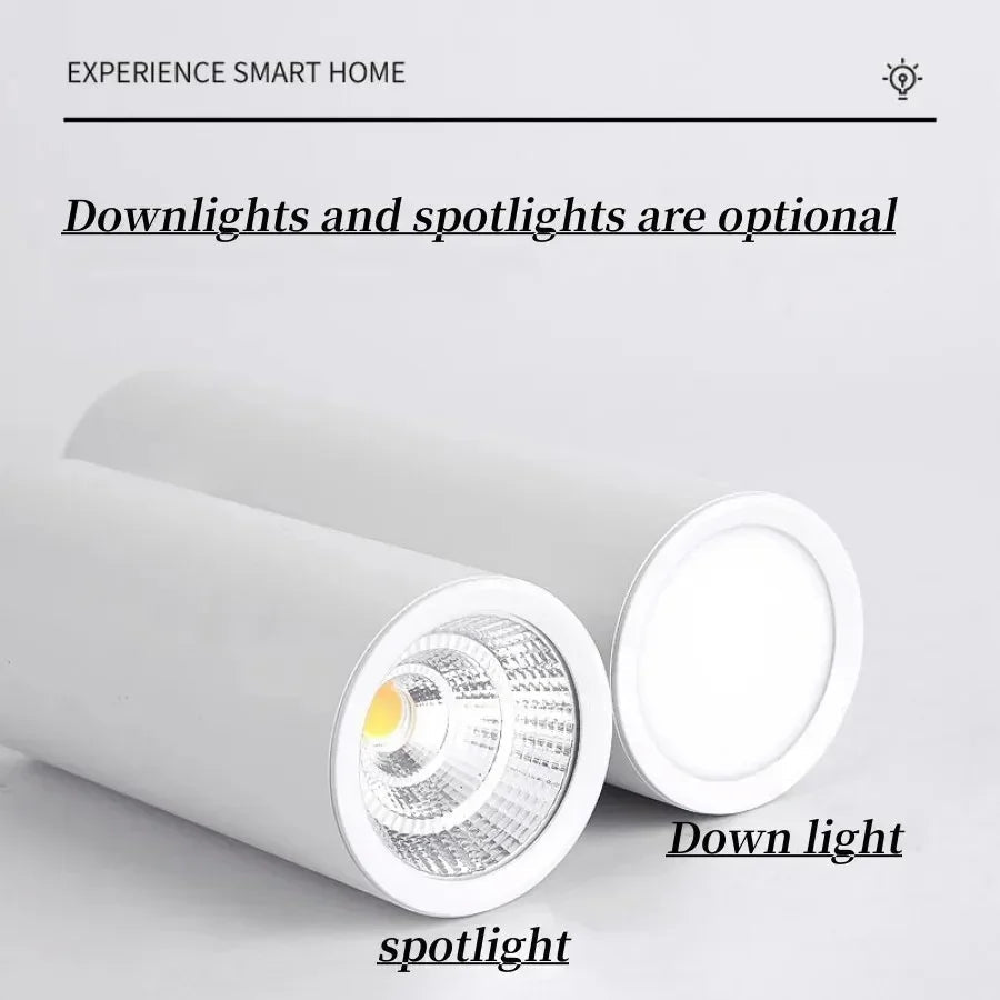 Dallendo White LED Surface Mounted Downlight