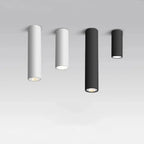 Dallendo White LED Surface Mounted Downlight