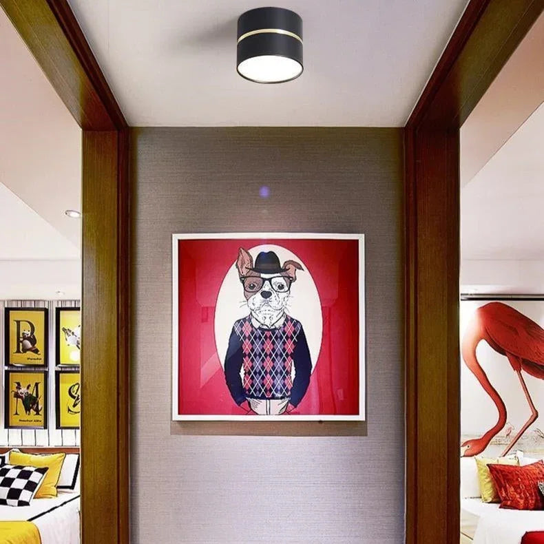 Dalsoda Surface Mounted Downlight