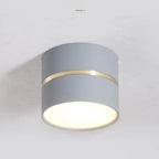 Dalsoda Surface Mounted Downlight