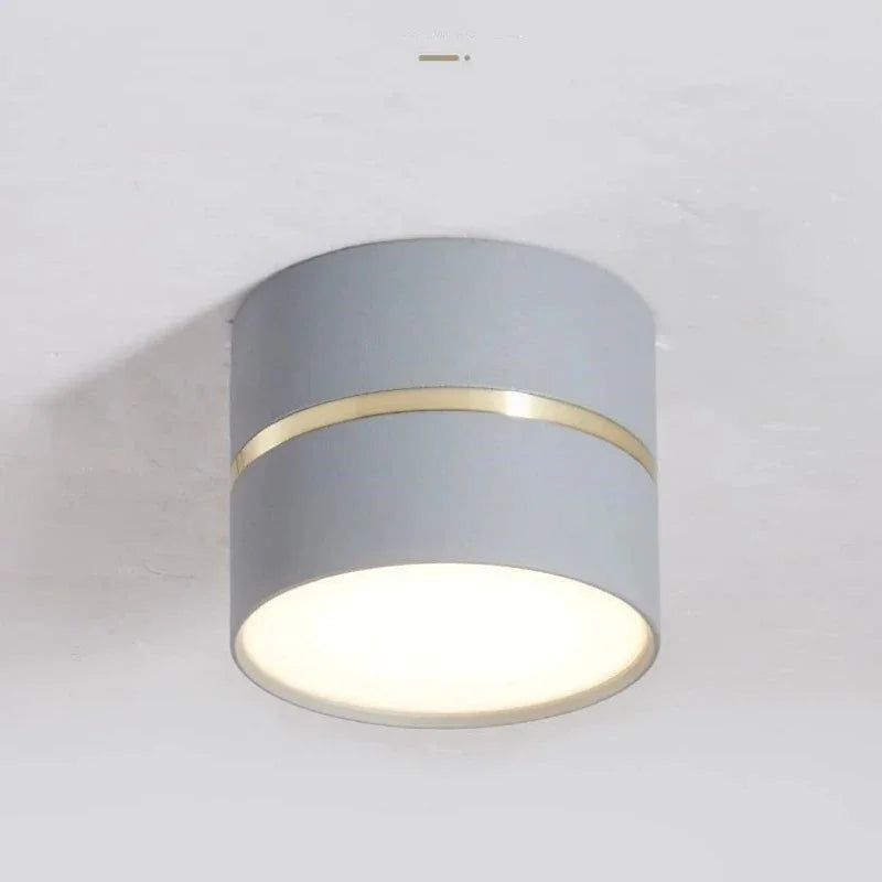 Dalsoda Surface Mounted Downlight