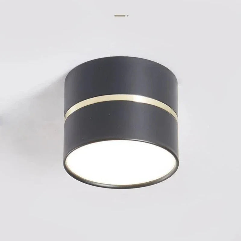 Dalsoda Surface Mounted Downlight