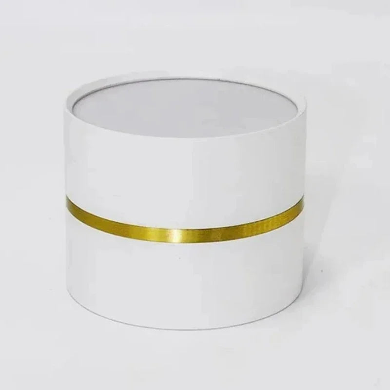 Dalsoda Surface Mounted Downlight