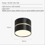 Dalsoda Surface Mounted Downlight
