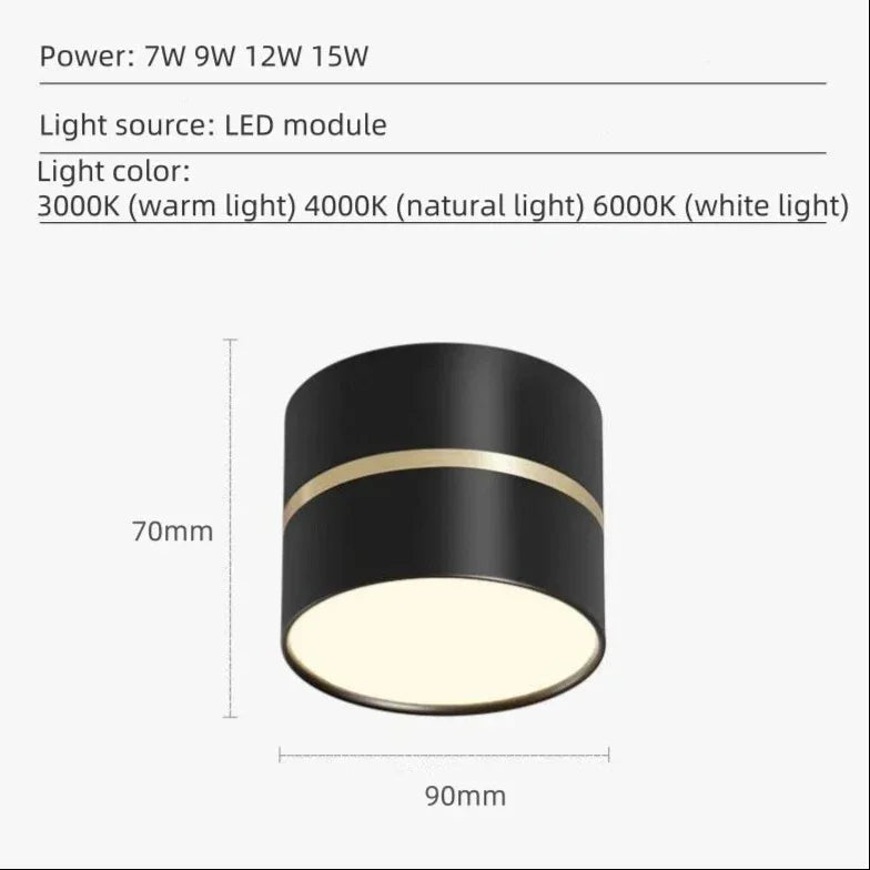 Dalsoda Surface Mounted Downlight