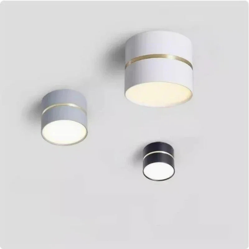 Dalsoda Surface Mounted Downlight