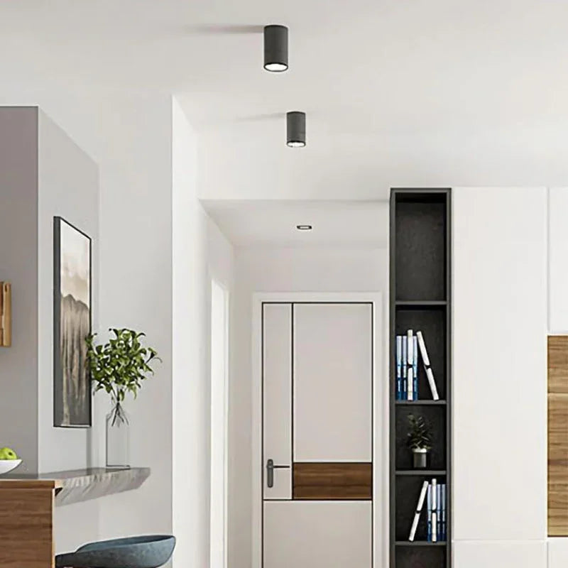 Drefelta Surface Mounted Downlight
