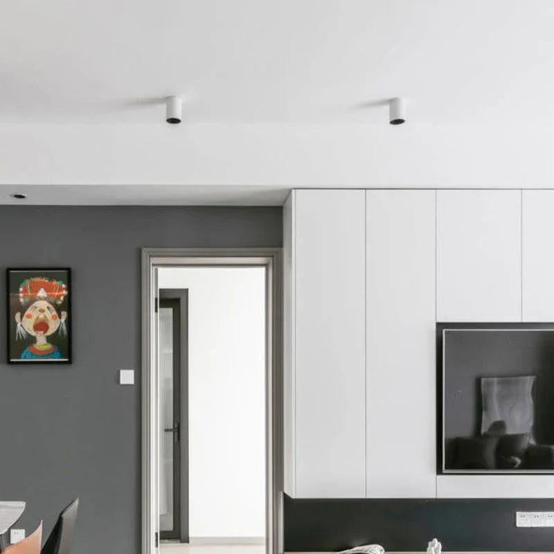 Drefelta Surface Mounted Downlight