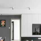 Drefelta Surface Mounted Downlight