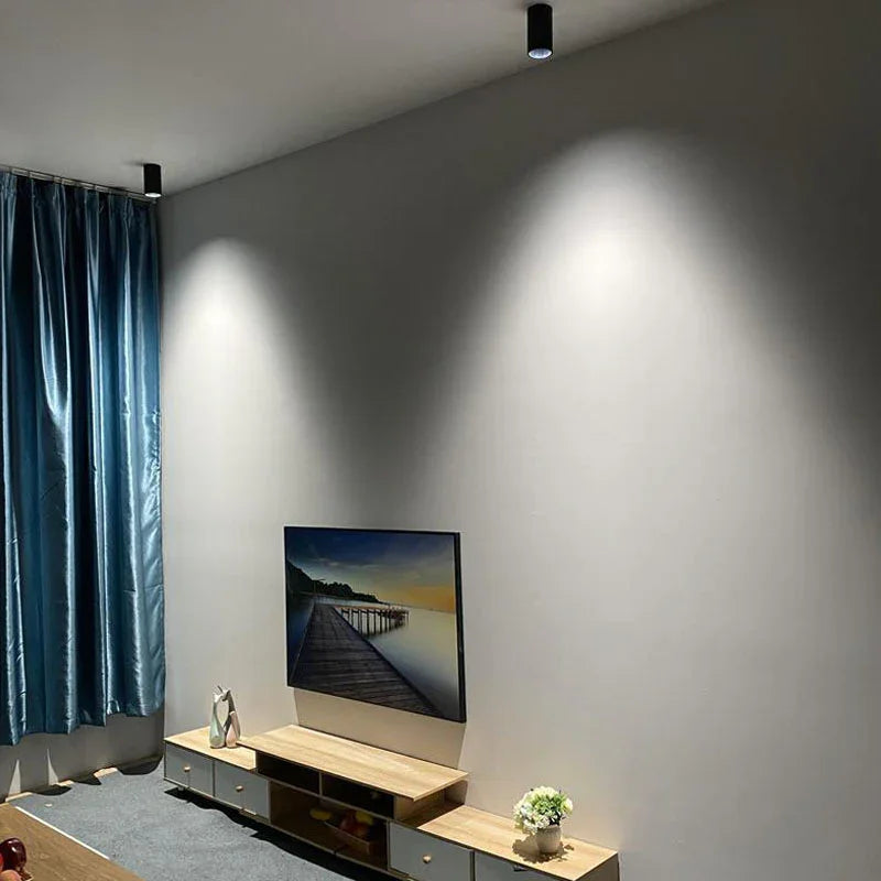 Drefelta Surface Mounted Downlight