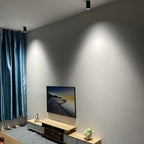Drefelta Surface Mounted Downlight