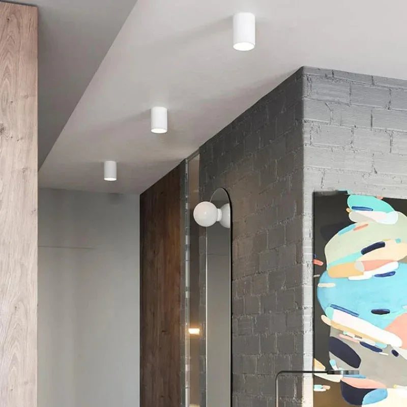Drefelta Surface Mounted Downlight