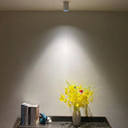 Drefelta Surface Mounted Downlight