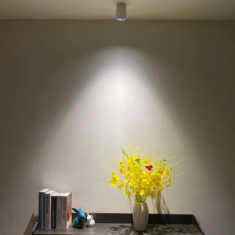 Drefelta Surface Mounted Downlight