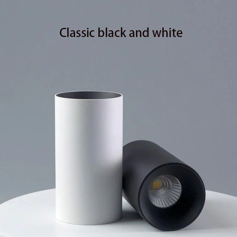 Drefelta Surface Mounted Downlight