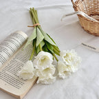 Elegant Art Tulip | TheKanta