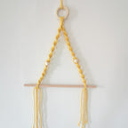 Elegant Macrame Plant Hanger Yellow Gray | TheKanta