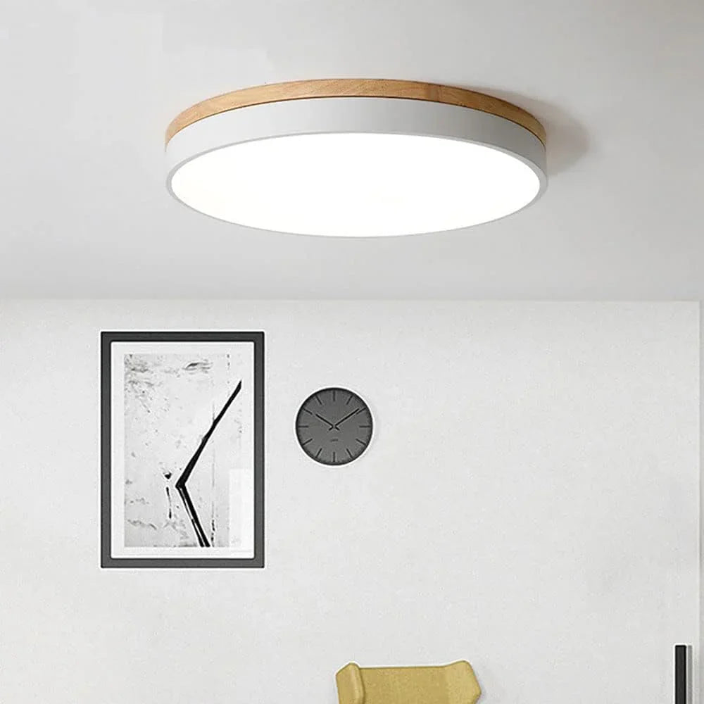Emdora Ceiling Lamp