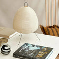 Fenlita Paper Lamp