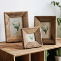 Gilstesa Photo Frame