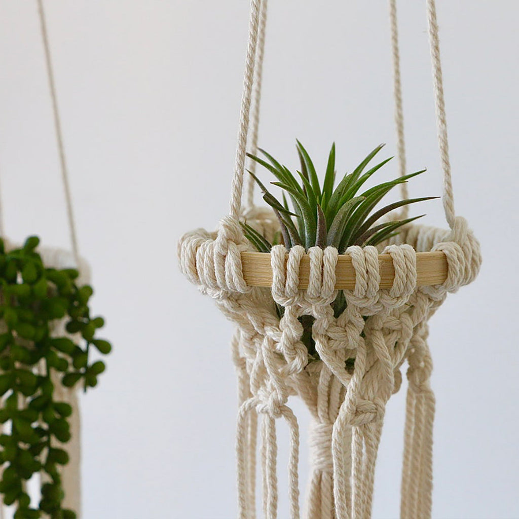 Hanging Macrame Planter | TheKanta