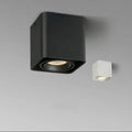 Inrora Surface Mounted Downlight
