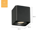 Inrora Surface Mounted Downlight