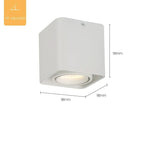 Inrora Surface Mounted Downlight