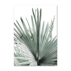 Insteno Art Print